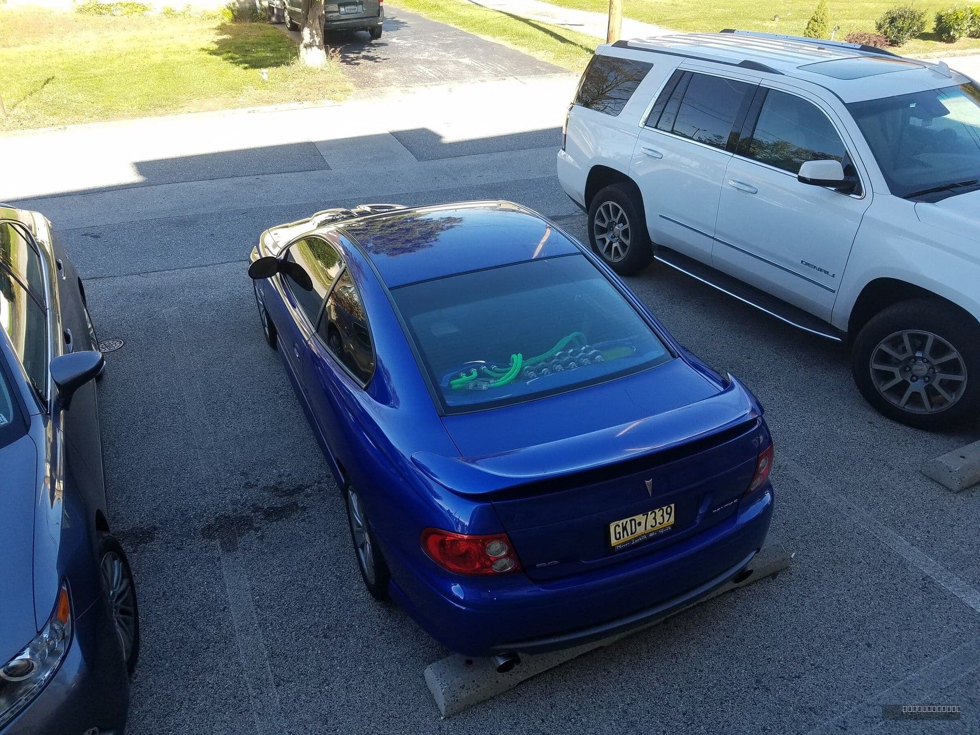 2005 GTO Dragon Build